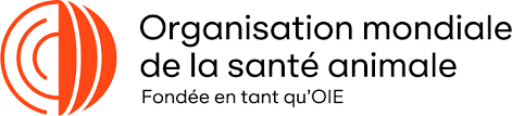 Exemple d'image